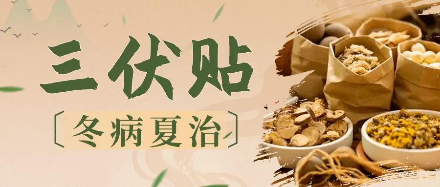 【冬病夏治】驅(qū)病邪，守安康--2025我院內(nèi)分泌科“三伏貼”預(yù)約開始啦！